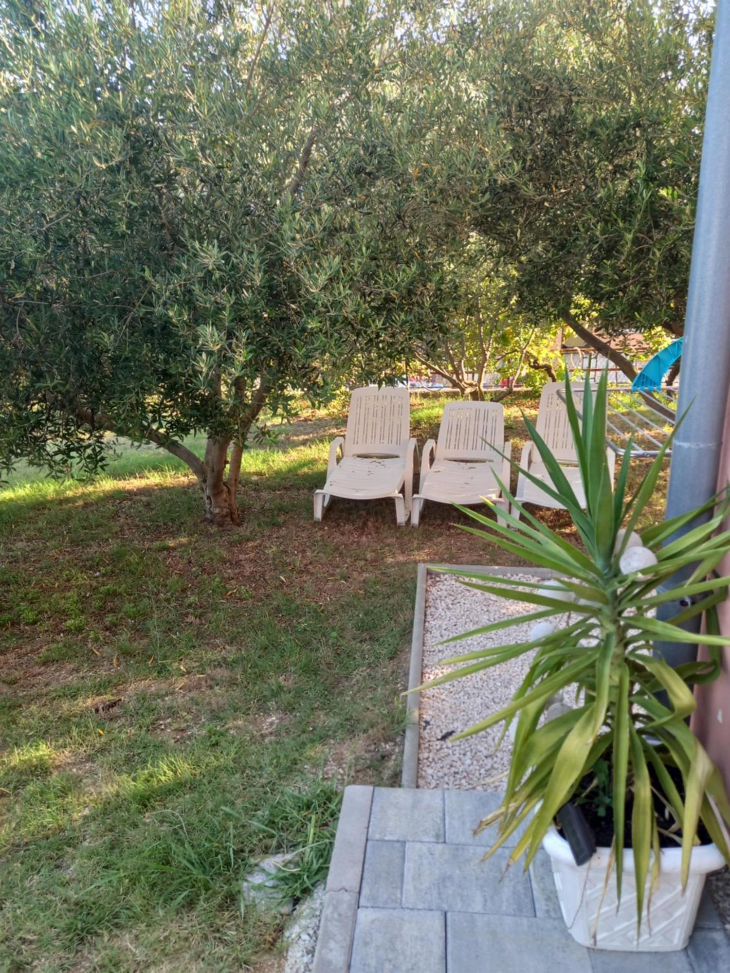 Dani Apartment Zadar Cameră foto